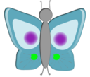 Mariposa Butterfly