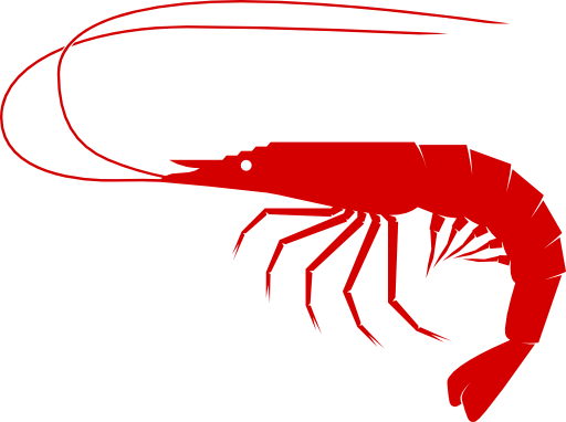 Shrimp Clipart I2clipart Royalty Free Public Domain Clipart