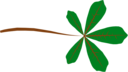 Palmate Leaf 5 Lobed