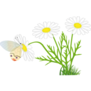 A Butterfly On A Daisy