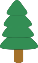 Spruce1