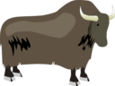 Yak