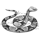 download Copperhead Grayscale clipart image with 0 hue color