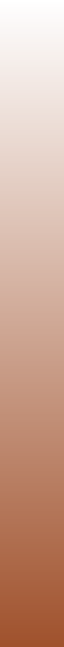 Ws Gradient Sienna