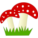 download Fliegenpilz Fly Amanita clipart image with 0 hue color