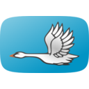 download Flying Swan 2 clipart image with 0 hue color