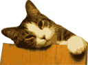 Relaxed Cat Bg Removed