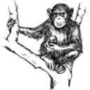 download Grayscale Chimpanzee clipart image with 225 hue color