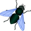 download Green House Fly clipart image with 45 hue color