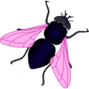 download Green House Fly clipart image with 135 hue color