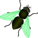 download Green House Fly clipart image with 315 hue color