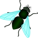 download Green House Fly clipart image with 0 hue color
