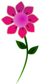 Pink Sun Flower