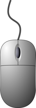 Computer Mouse Top Down View