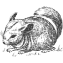 download Grayscale Chinchilla clipart image with 0 hue color