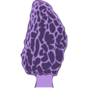 download Morel Mushroom clipart image with 225 hue color