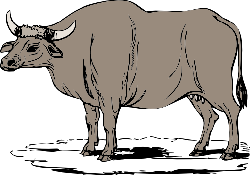 Gaur