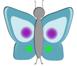 Mariposa Butterfly