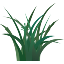 download Dark Grass clipart image with 45 hue color