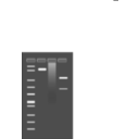 download Agarose Gel clipart image with 180 hue color