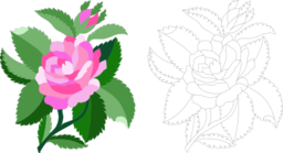 Design For Damask Rose