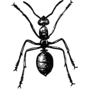 download Fourmi clipart image with 90 hue color