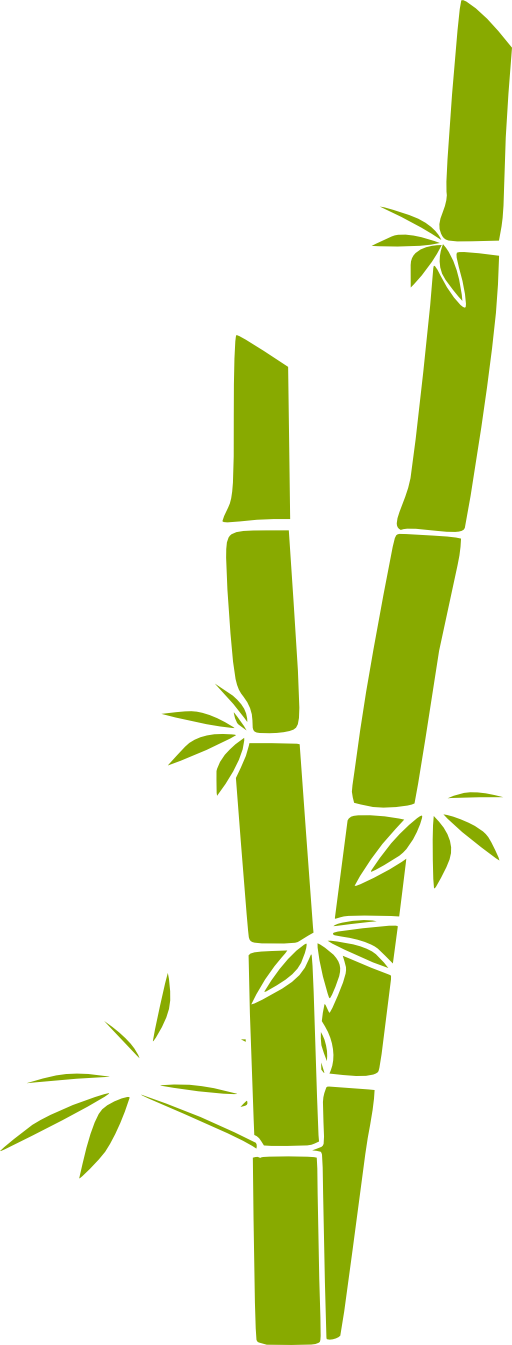 Bamboo