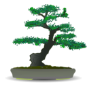 download Bonsai clipart image with 45 hue color