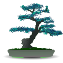 download Bonsai clipart image with 90 hue color