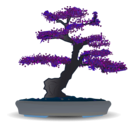 download Bonsai clipart image with 180 hue color