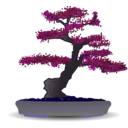 download Bonsai clipart image with 225 hue color