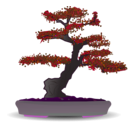 download Bonsai clipart image with 270 hue color