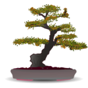 download Bonsai clipart image with 315 hue color