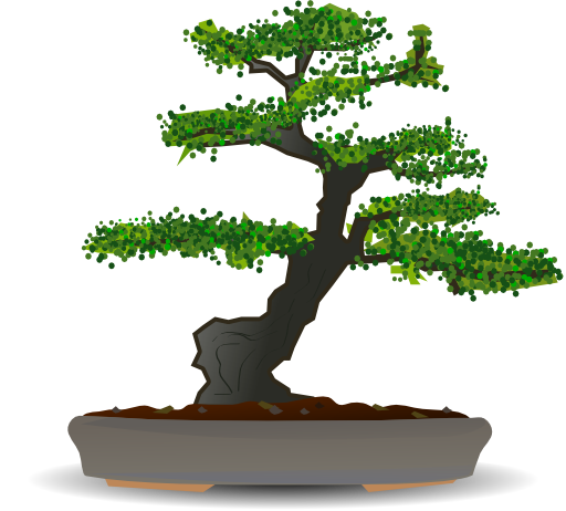 Bonsai