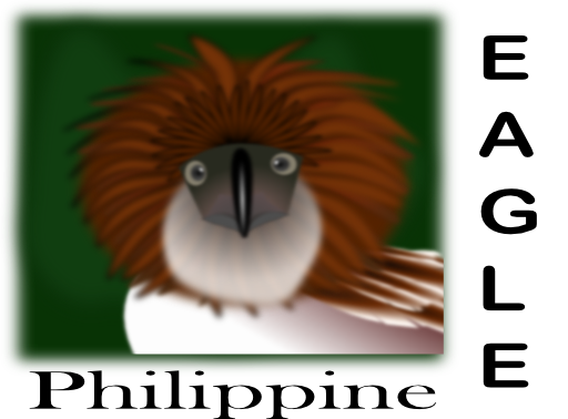 Philippine Eagle