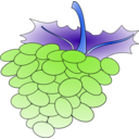 download Grapes 01 clipart image with 180 hue color