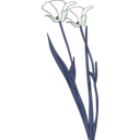 download Calochortus Apiculatus clipart image with 90 hue color