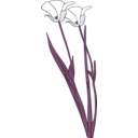 download Calochortus Apiculatus clipart image with 180 hue color