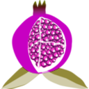 download Pomegranate Fruit clipart image with 315 hue color