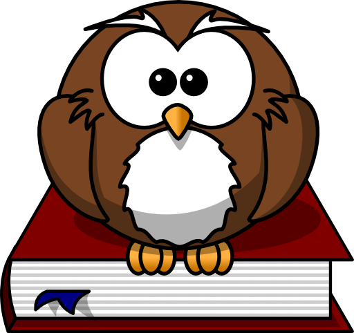 Cartoon Owl Sitting On A Book