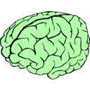 download Brain clipart image with 90 hue color