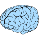 download Brain clipart image with 180 hue color