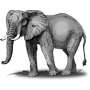 download Colored Elephant clipart image with 225 hue color