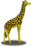 Colored Giraffe