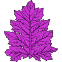 download Acanthus Leaf clipart image with 225 hue color