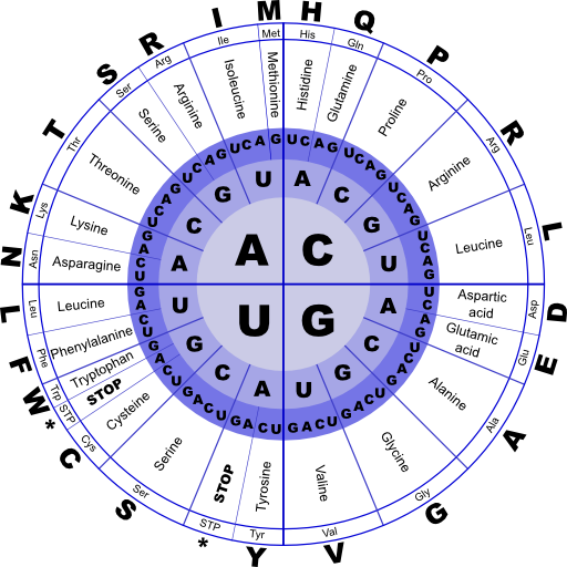 Genetic Code Rna