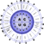 Genetic Code Rna