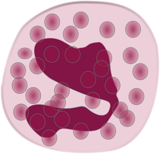 Eosinophil