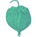 download Tomatillo clipart image with 90 hue color