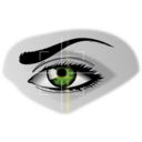Eye Scan